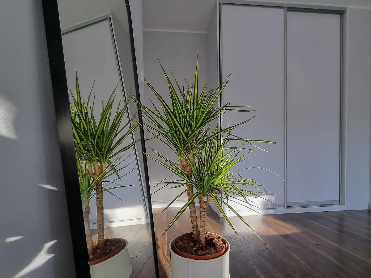 2 Pokoje, Blisko Morza, Ogrodek, Garaz, Kameralne Gdansk Apartment